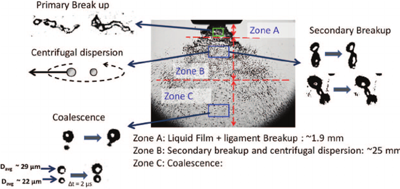 figure6