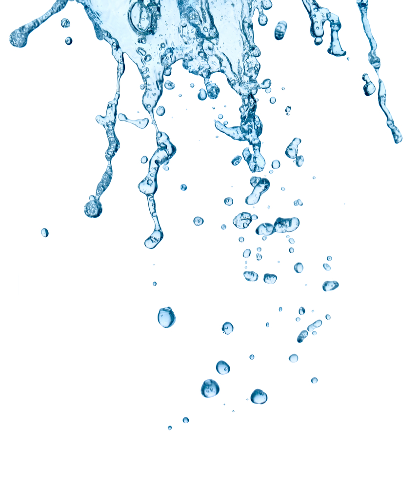 close up of  a water splash on white background